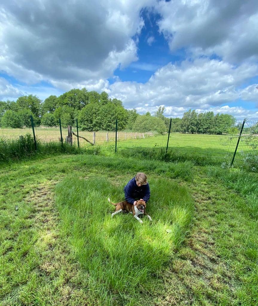 Betreuerin krault einen Hundegast im hohen Gras – dahinter Zaun und weite Felder