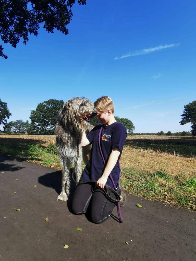 Betreuerin kniet mit einem Irischen Wolfshund auf dem Feldweg unter blauem Himmel