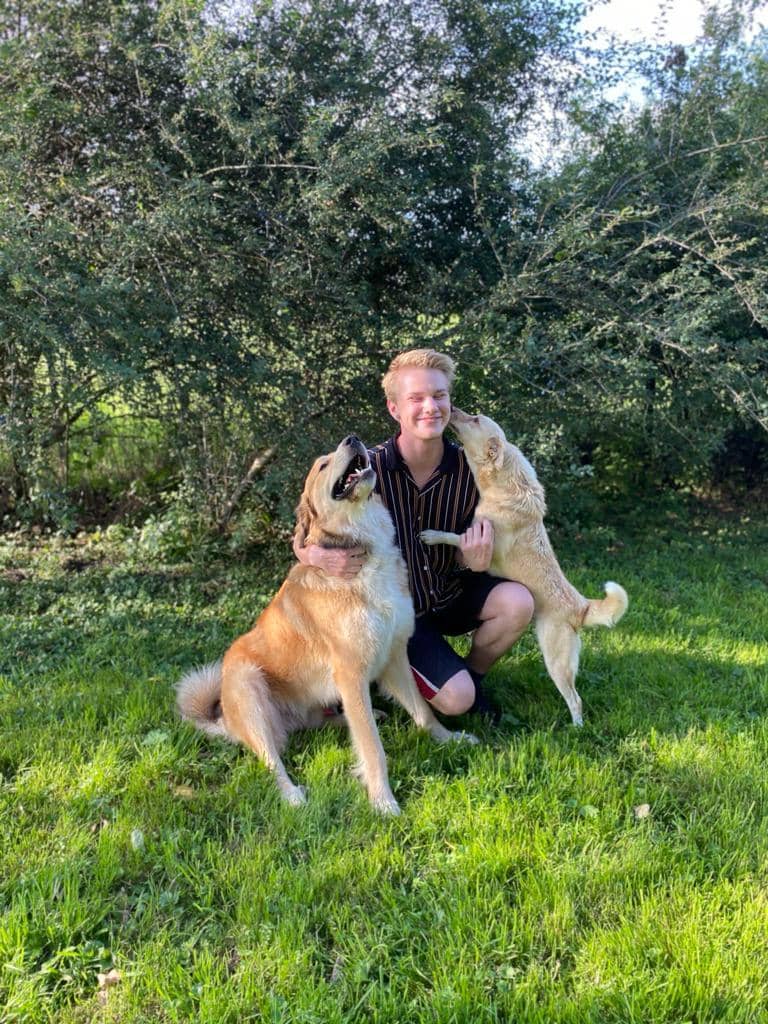 Zwei verschmuste Hunde begrüßen einen jungen Betreuer stürmisch auf der Wiese