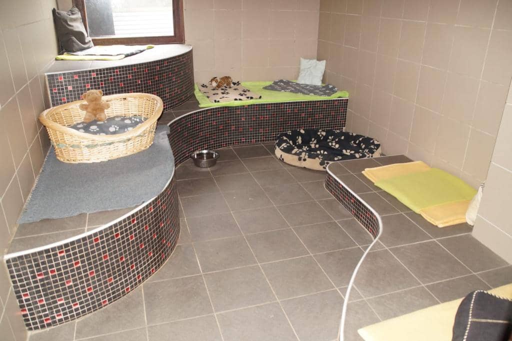 Helles Zimmer mit Liegepodesten auf mehreren Ebenen, Körbchen und Kuscheltier