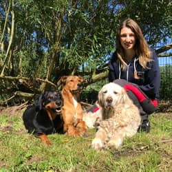Christin Abraham kniet im Grünen hinter drei Hundegästen – vorn liegt ein Golden Retriever im Gras